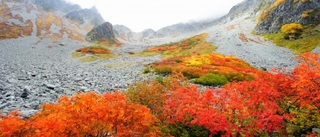 涸沢1.jpg